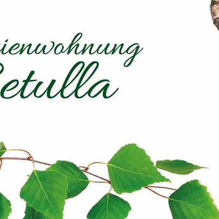 Betulla 슈라드밍