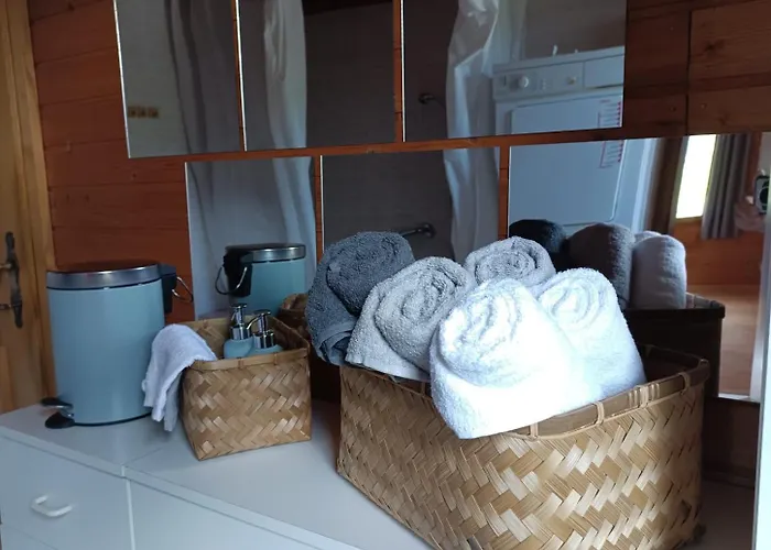 Appartement Betulla Schladming